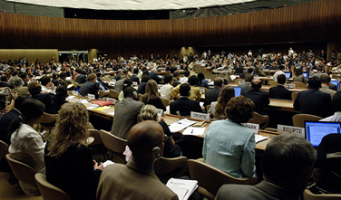 ABTTF ECOSOC toplantılarına katılıyor